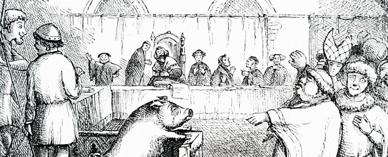 Animals were put on trial in medieval times and routinely sentenced to death