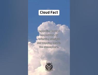 Clouds play a prominent role in regulating the earth s climate they make the difference between whether you will have a warm or cool day clouds control the amount of solar energy that reaches gets trapped or escapes the planet