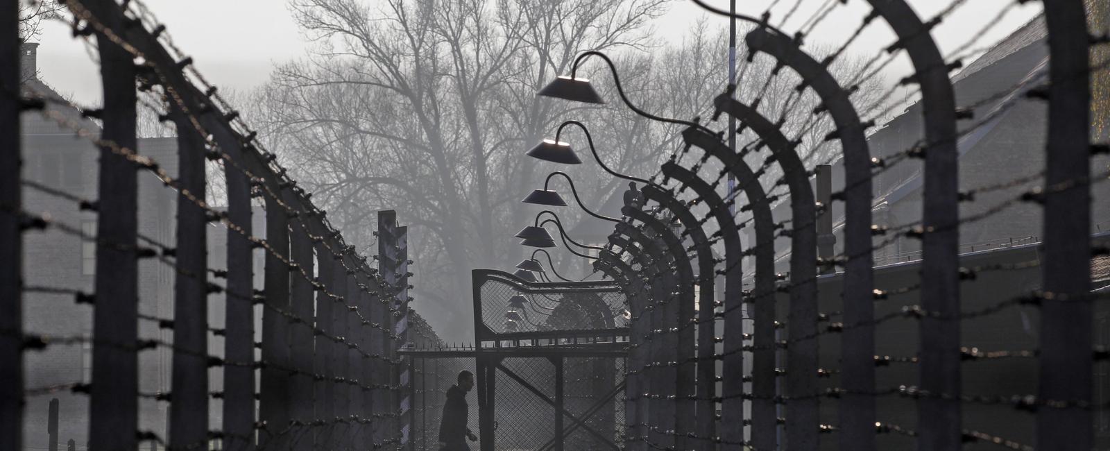 New research suggests that 15 20 million people were murdered or imprisoned by the nazis during the holocaust much more than previously believed