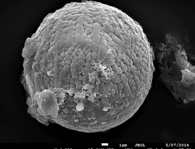 There are extraterrestrial dust particles on your rooftop they are called micrometeorites and are about 400 microns in size more than 100 billion micrometeorites are believed to fall to earth each year