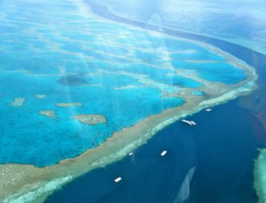 The largest living structure on earth is the great barrier reef found in australia it is over 2000 kilometers long