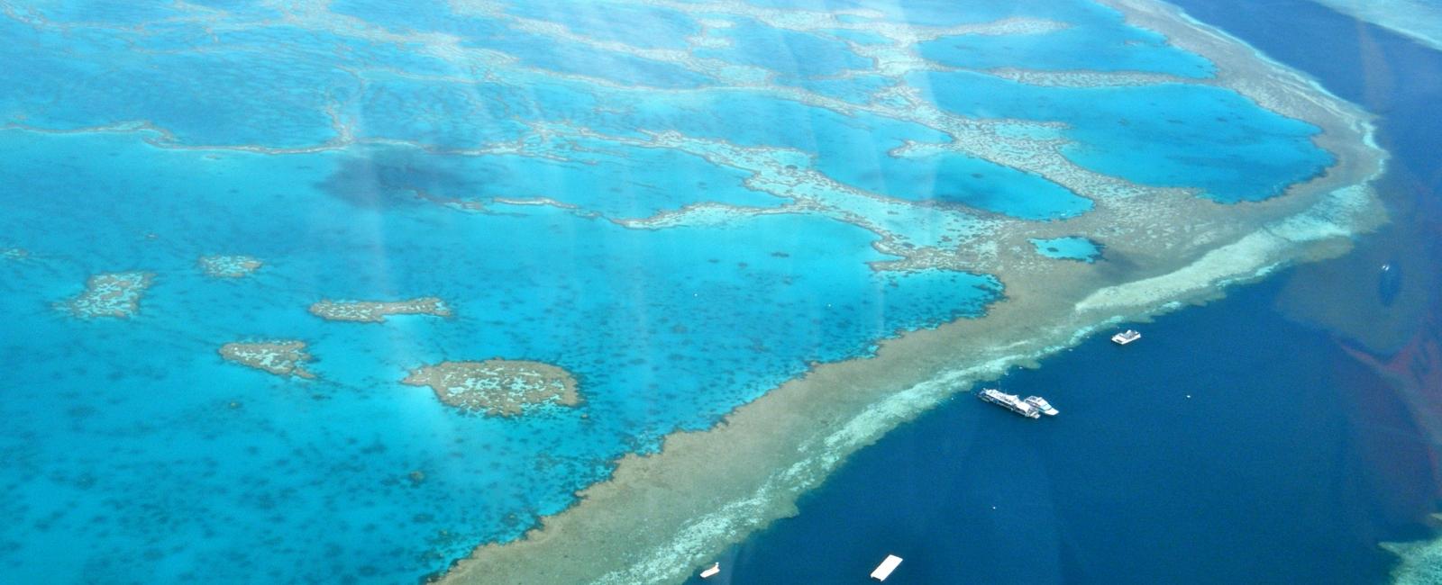 The largest living structure on earth is the great barrier reef found in australia it is over 2000 kilometers long