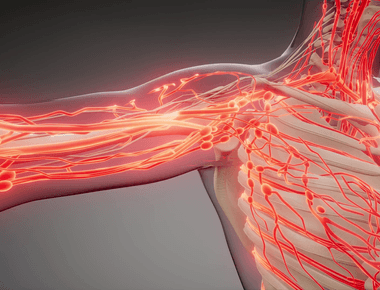 If you stretched out all the blood vessels in the body it would be long enough to go around the world twice