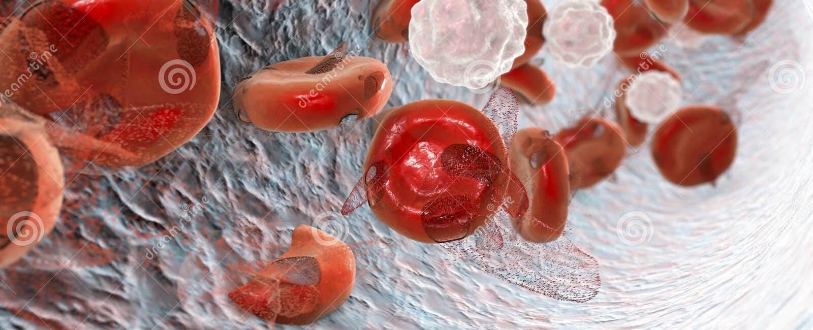 15 million blood cells are destroyed in the human body every second