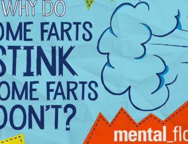 99 of human farts don t actually smell