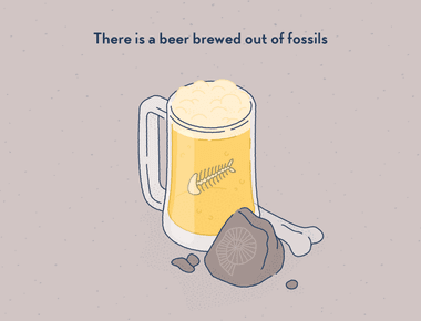 There are beers made out of fossils