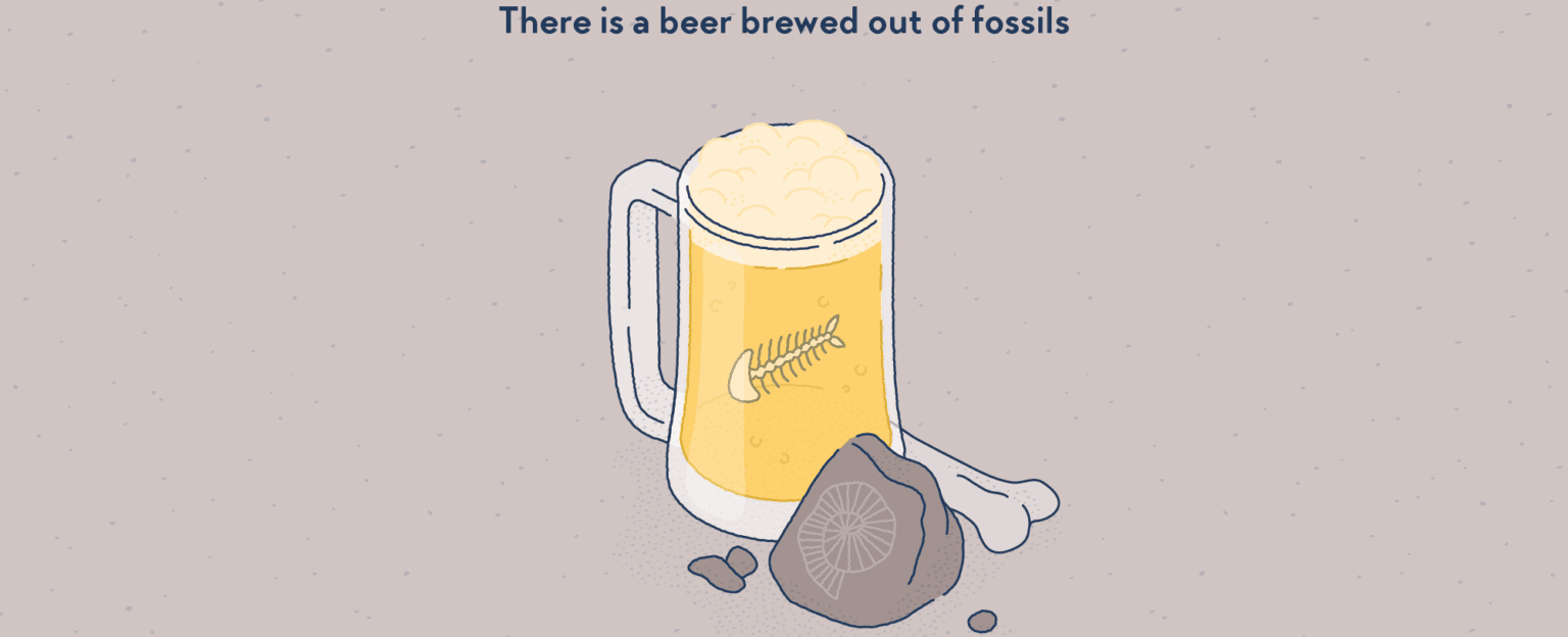 There are beers made out of fossils