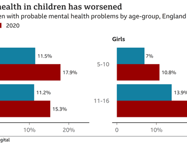 Only 17 of 11 to 38 year olds experience no mental disorders according to a study in new zealand