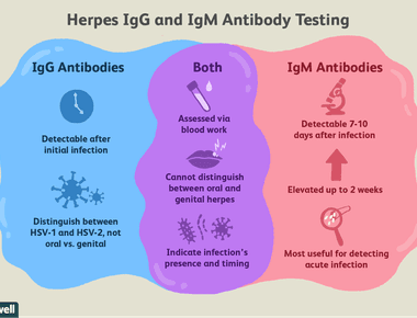 One out of every six americans aged 14 to 49 has a genital herpes hsv 2 infection