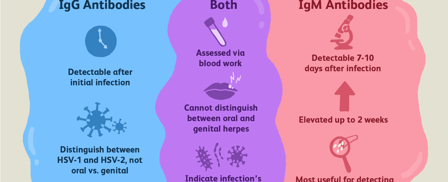 One out of every six americans aged 14 to 49 has a genital herpes hsv 2 infection